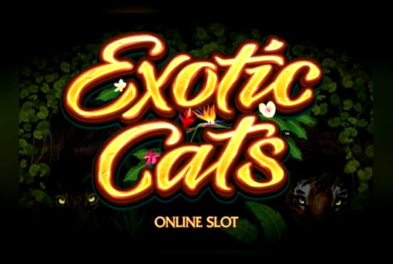 215 rodadas grátis de cassino no Spin Palace Casino